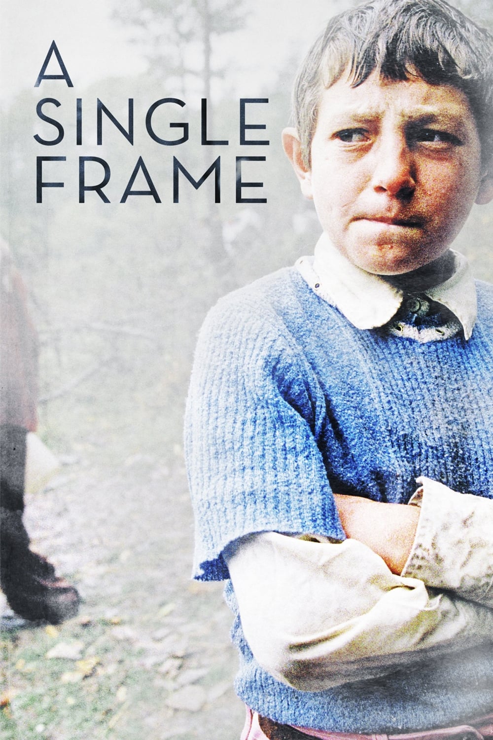 A Single Frame (2015)