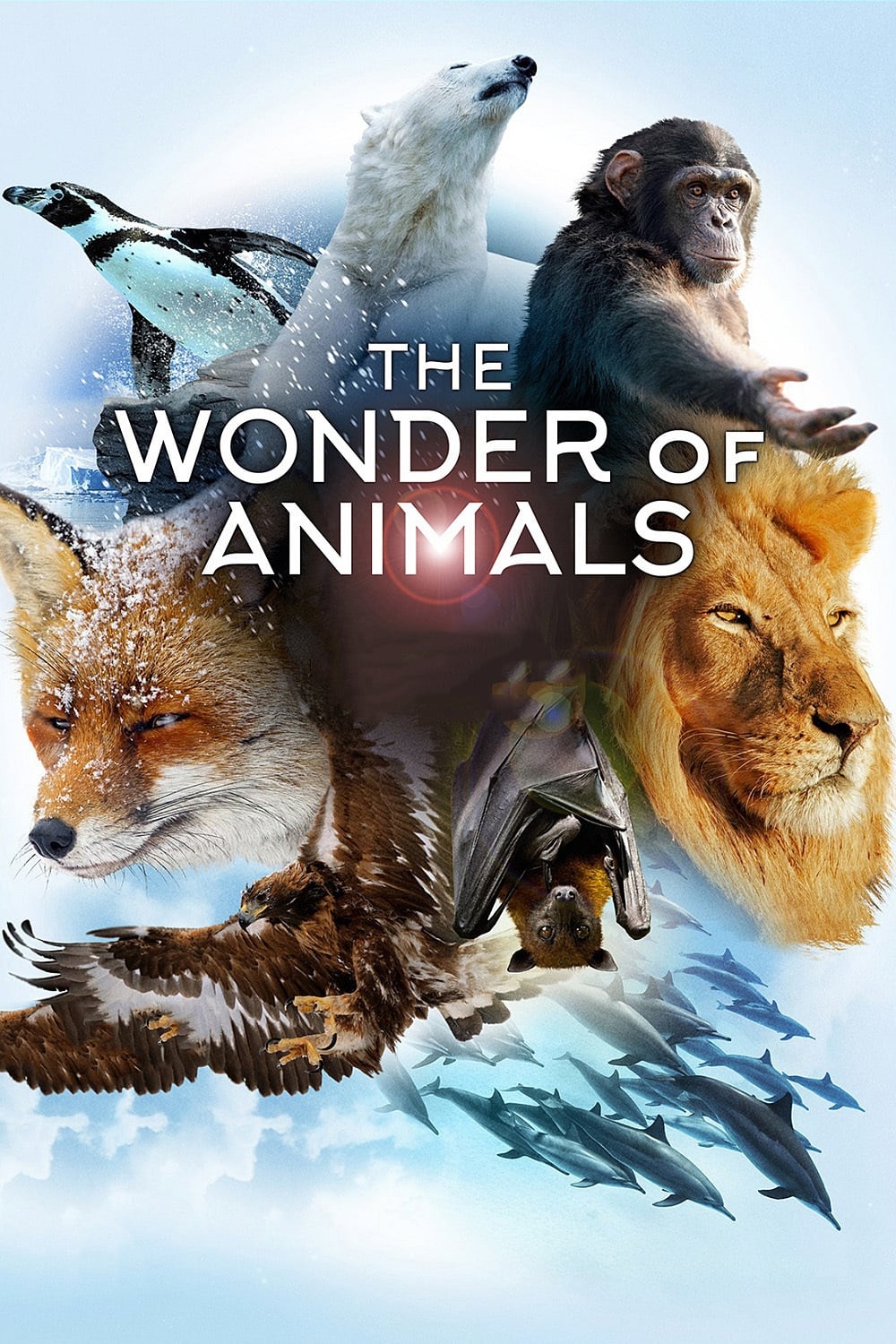 The Wonder of Animals - Tierische Überlebenskünstler