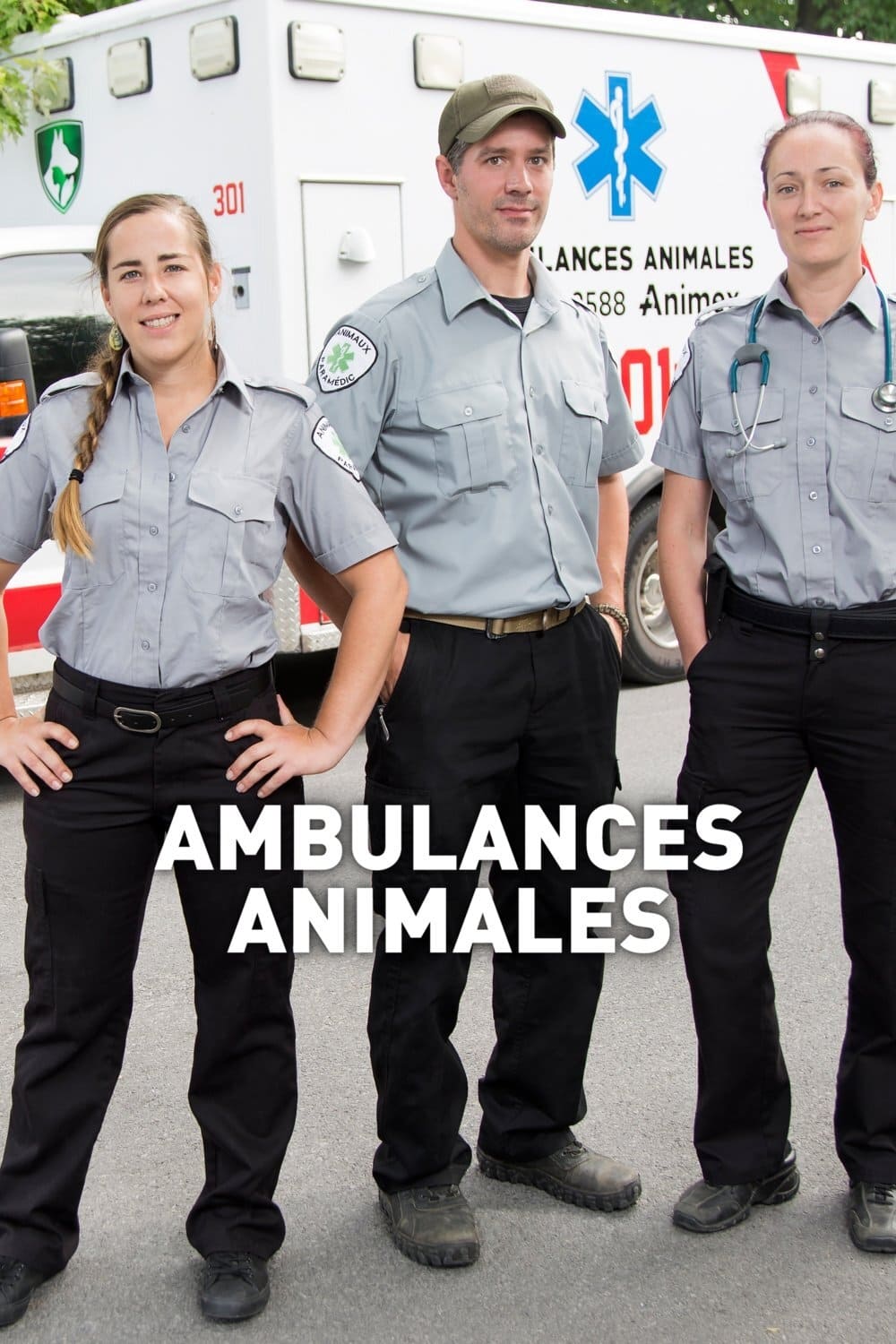 Ambulances animales