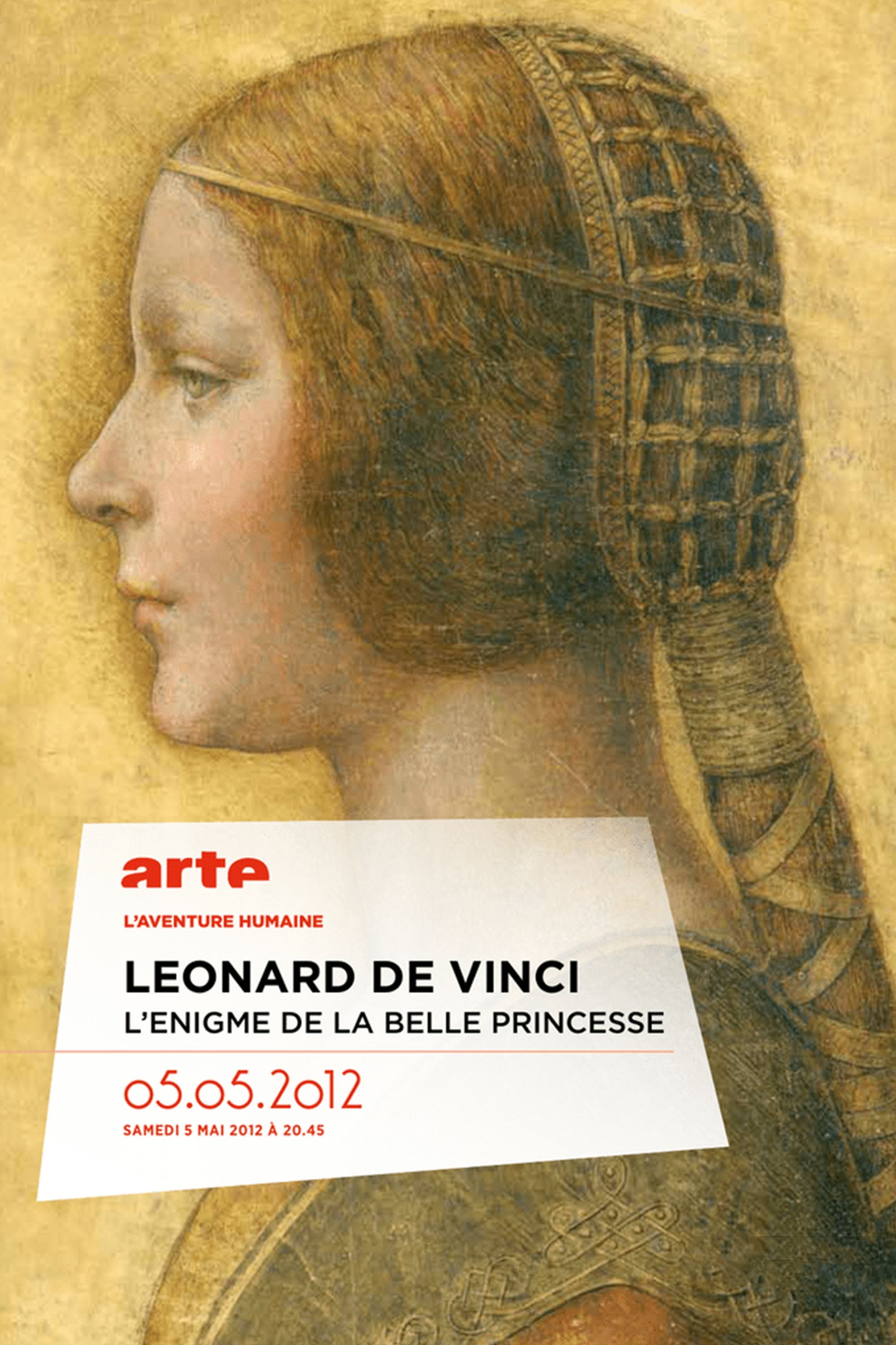 L'énigme de "La belle princesse" - Léonard de Vinci