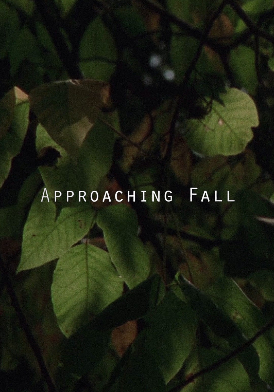 Approaching Fall