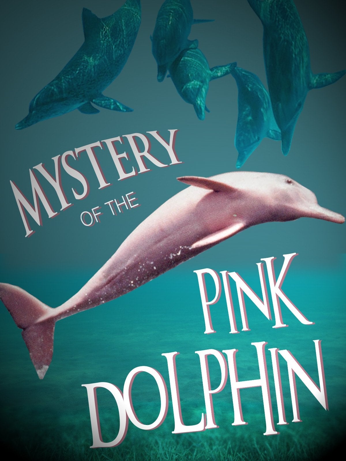 The Mystery of the Pink Dolphin