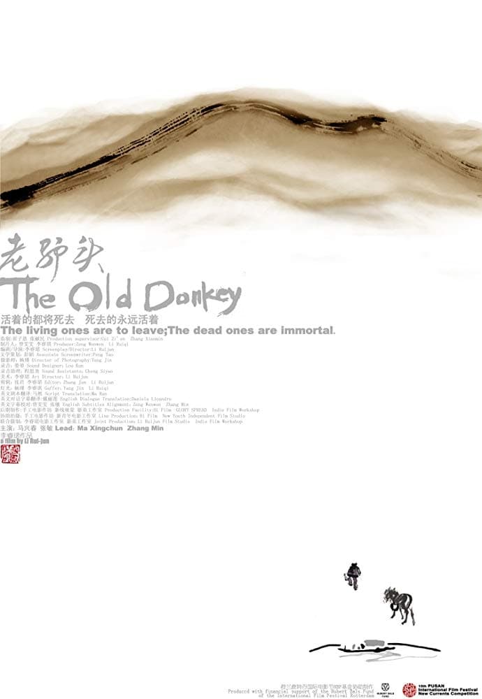 The Old Donkey