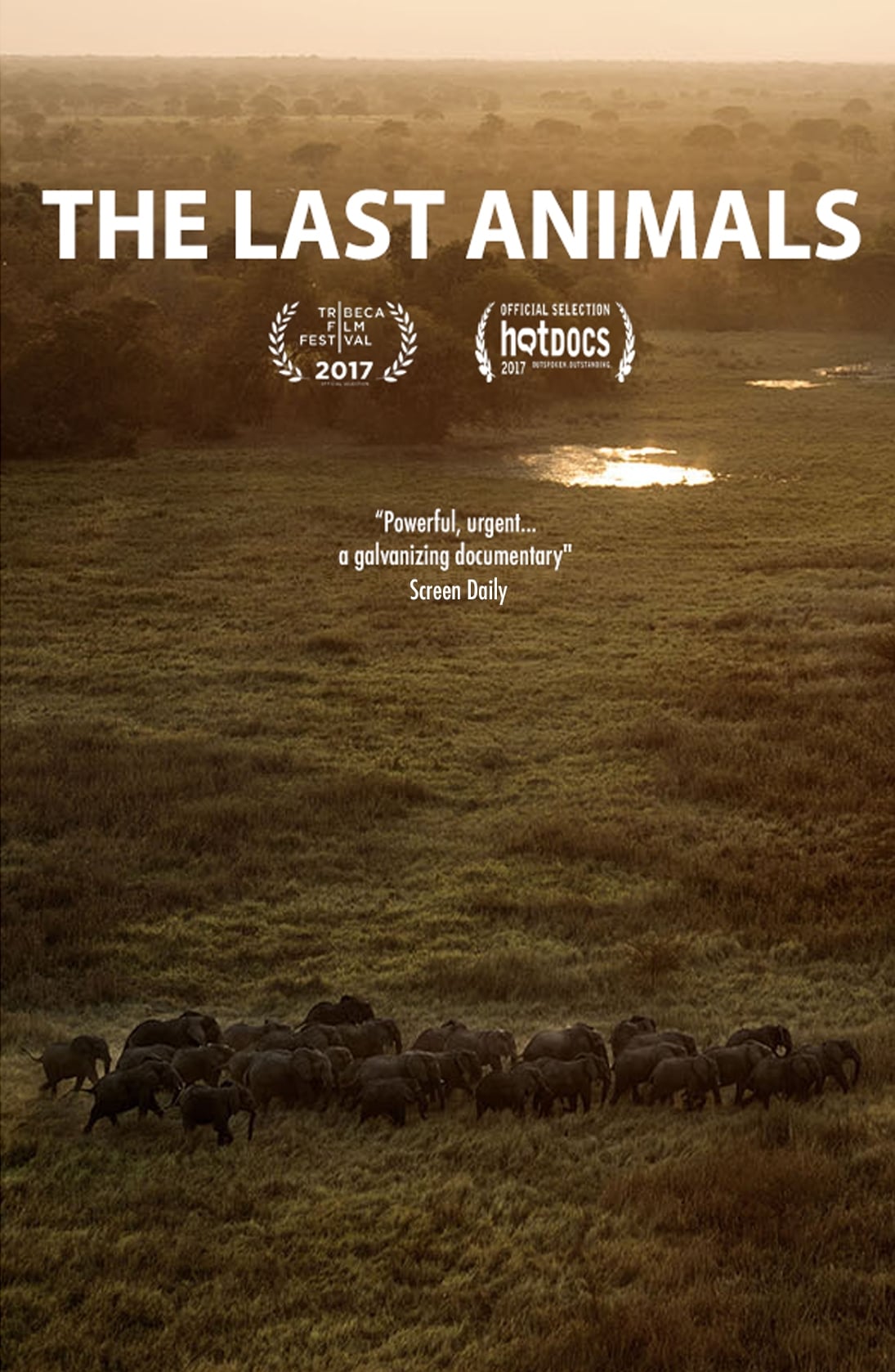 The Last Animals (2017)