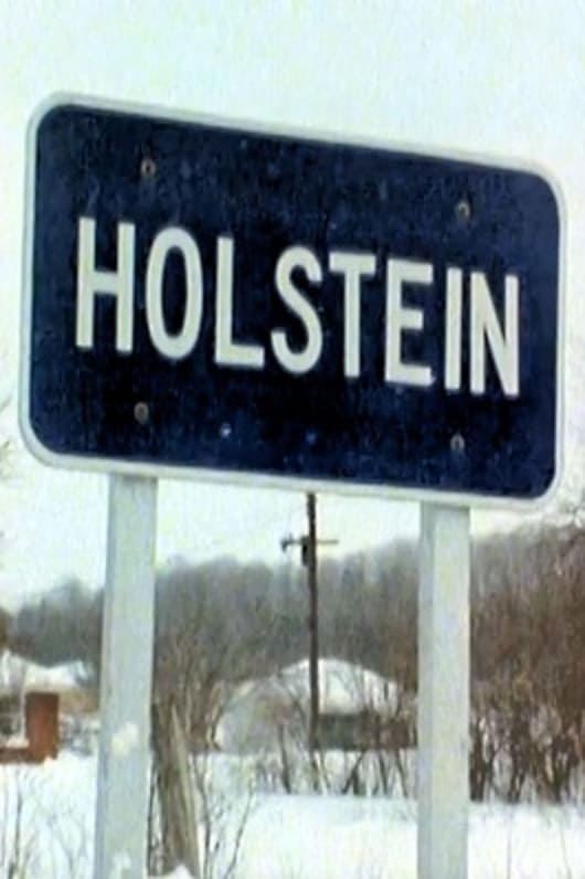 Holstein