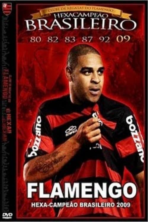 Flamengo: Hexa-Campeão Brasileiro 2009