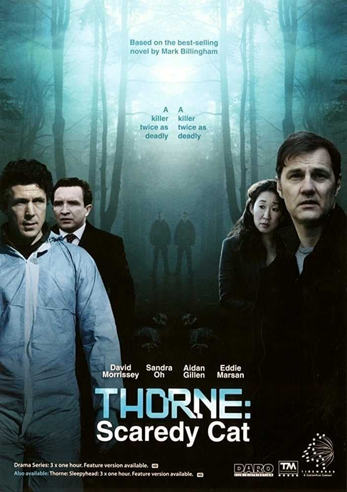 Tom Thorne - Die Tränen des Mörders