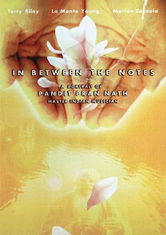 In Between The Notes: A Portrait of Pandit Pran Nath