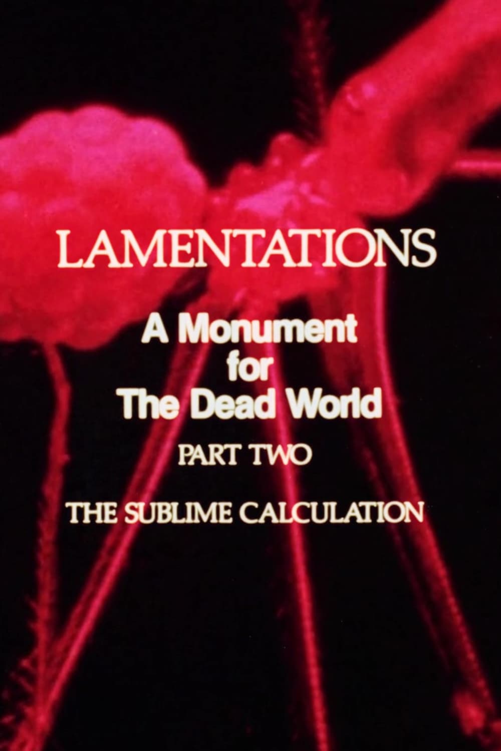 Lamentations: A Monument to the Dead World, Part 2: The Sublime Calculation