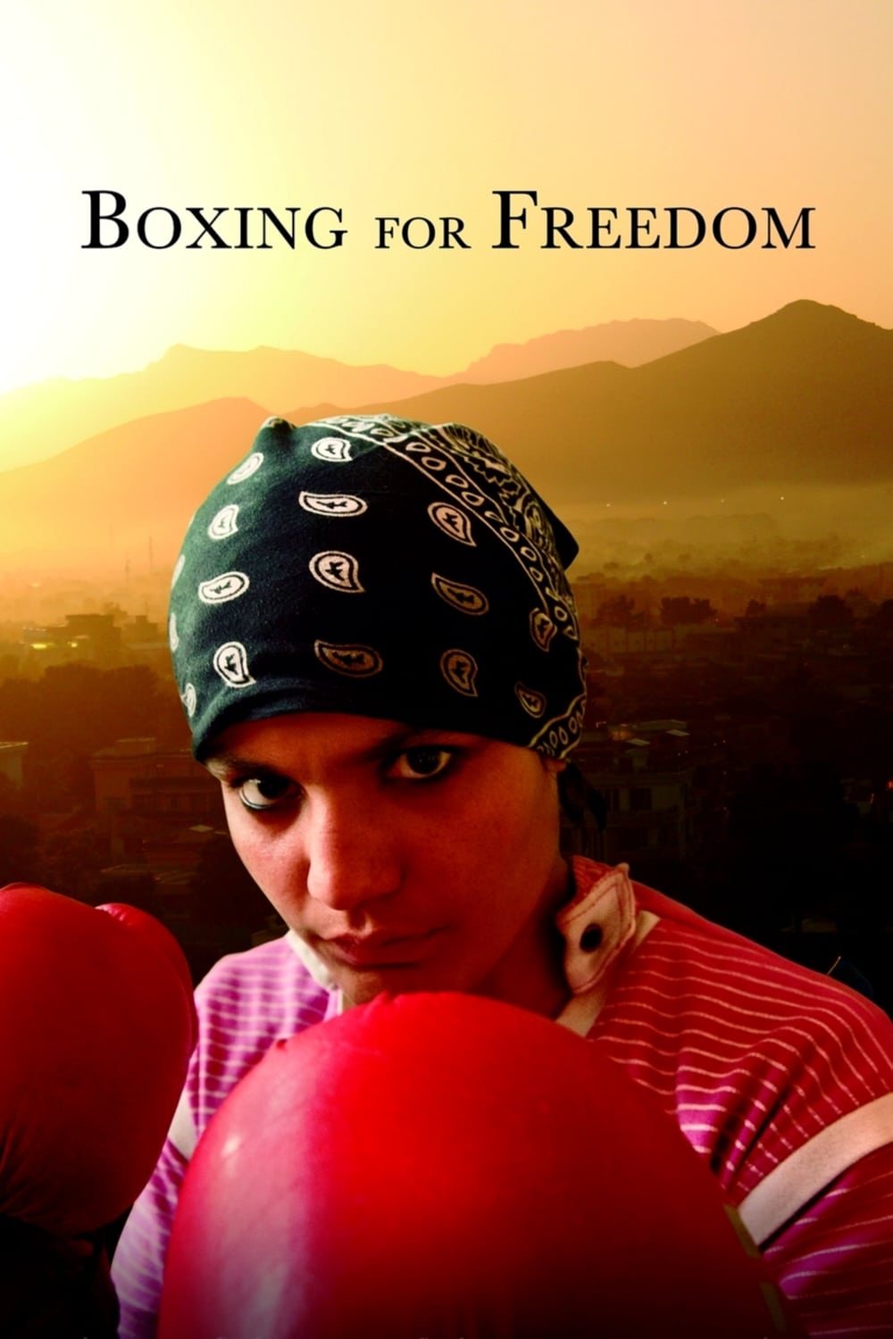 Boxing for Freedom