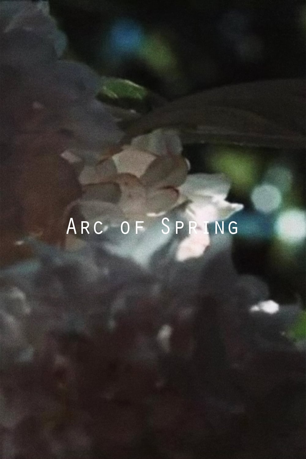 Arc of Spring