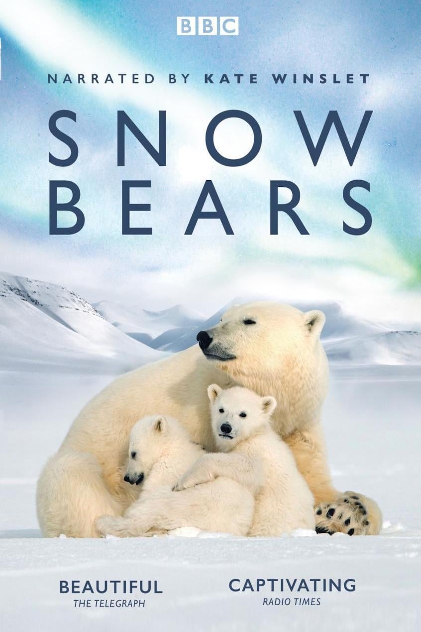 Snow Bears (2017)