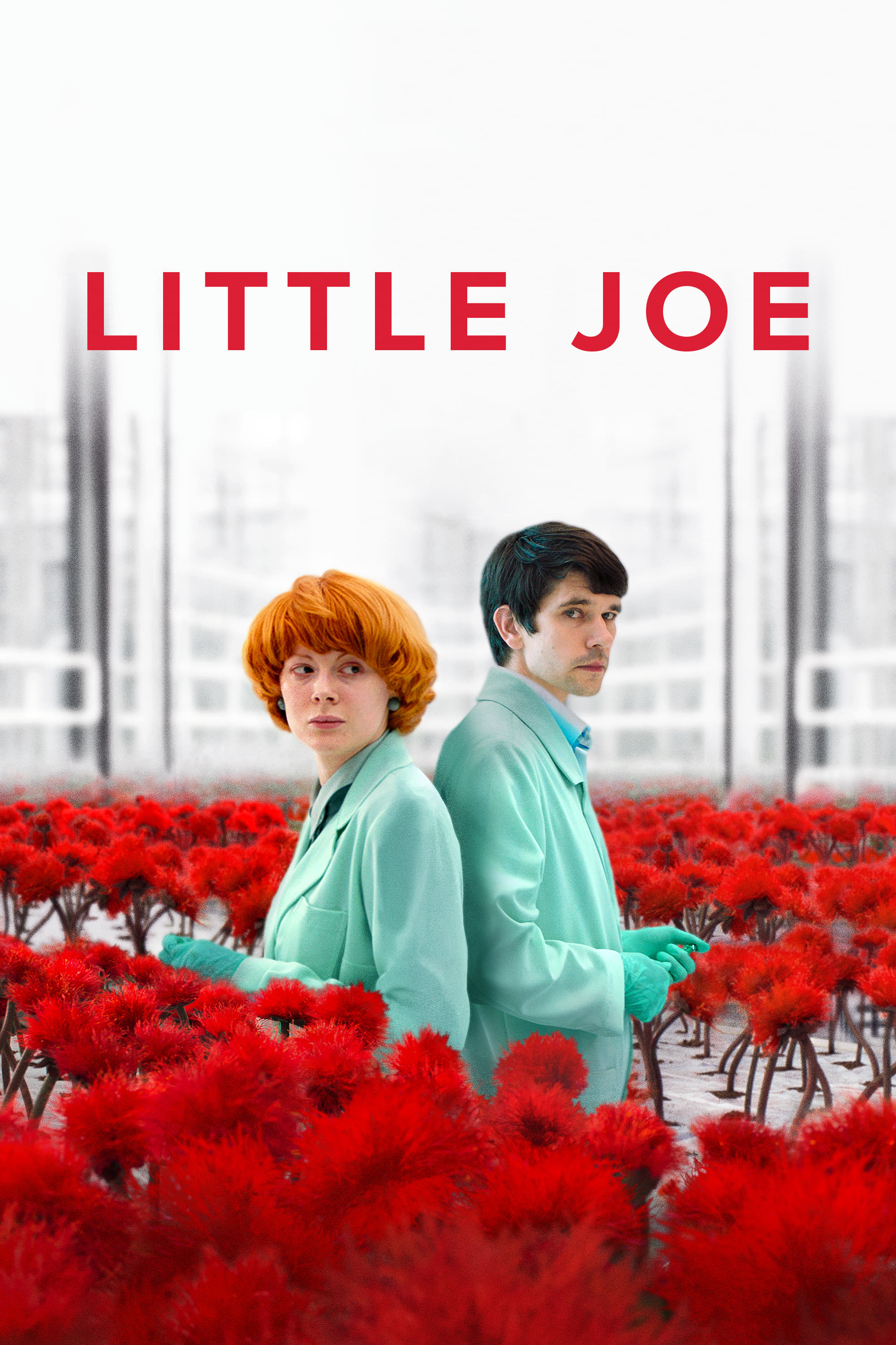 Little Joe - Glück ist ein Geschäft (2019)