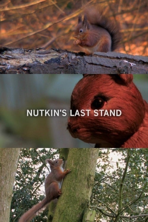 Nutkin's Last Stand