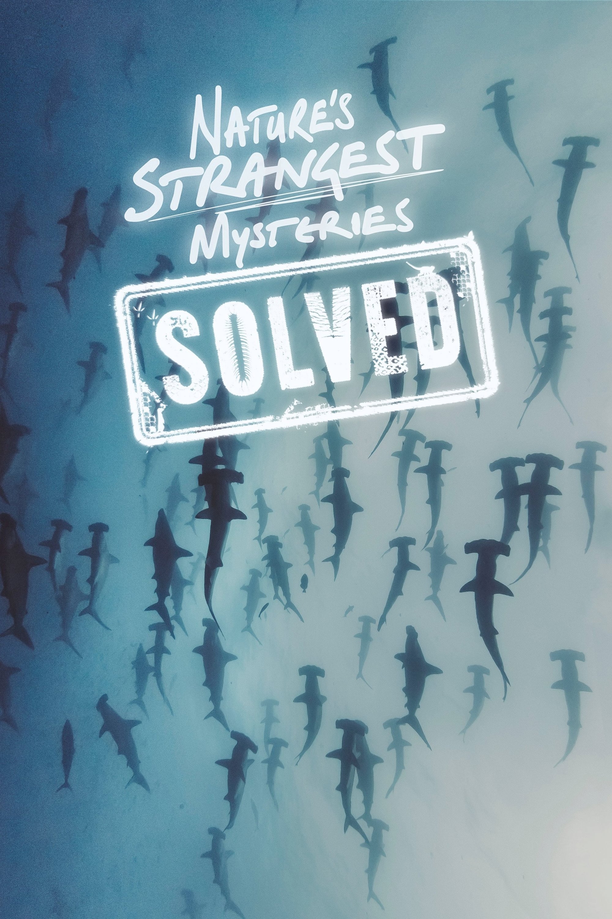 Nature's Strangest Mysteries: Solved (2019)