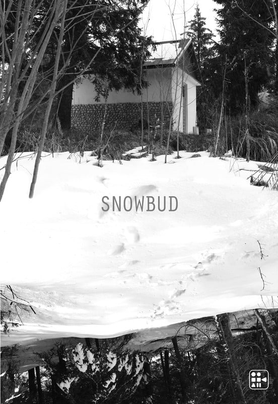 Snowbud