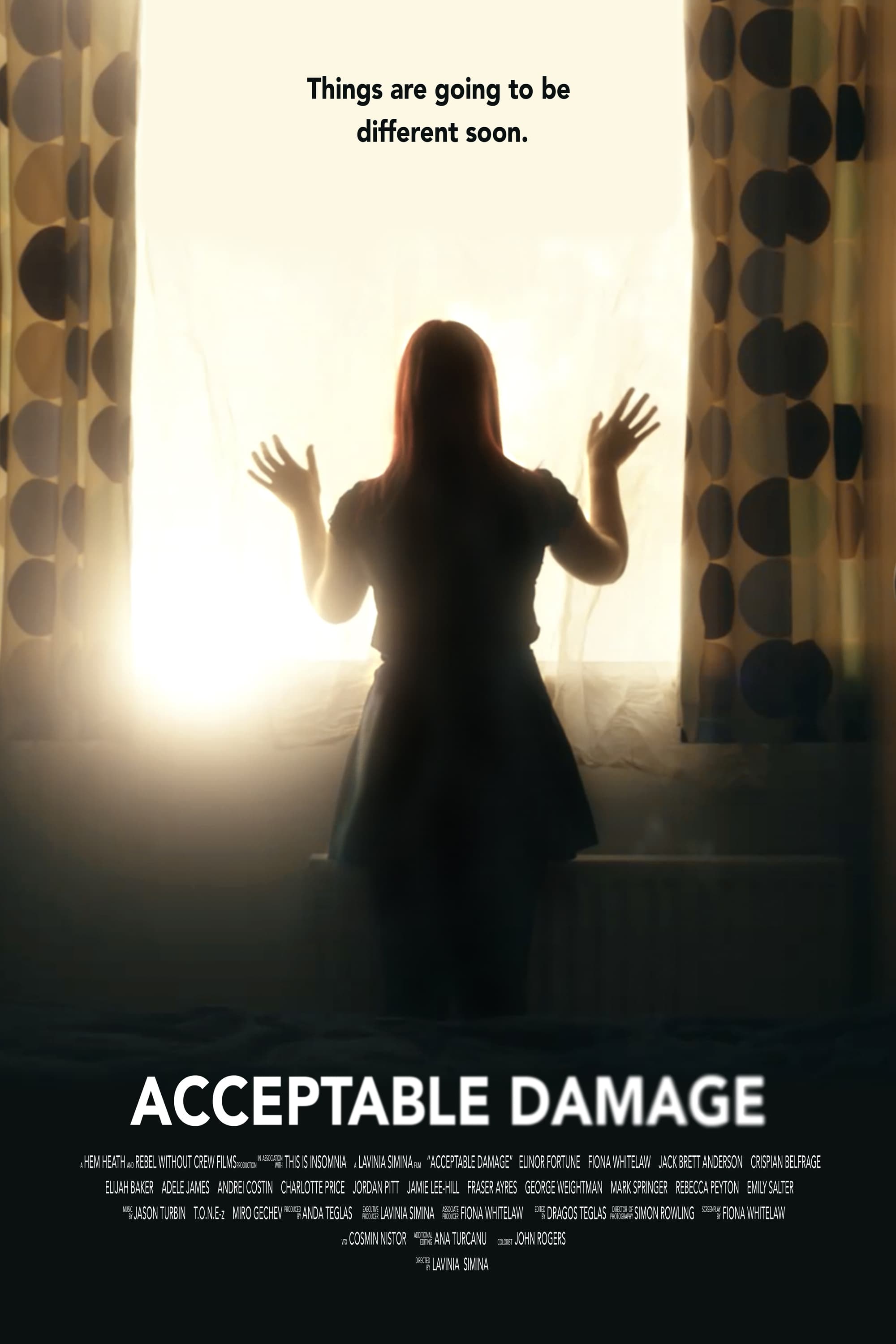 Acceptable Damage (2019)