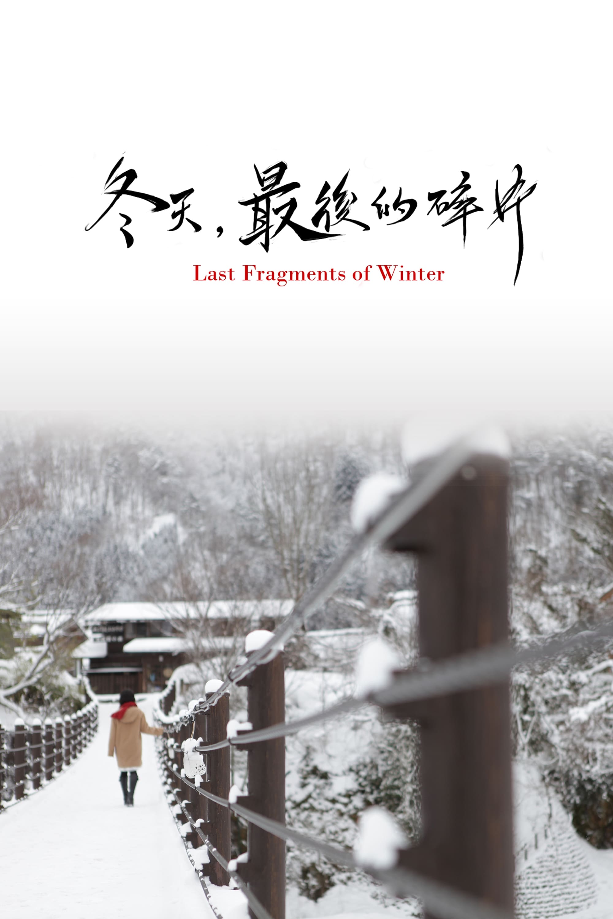 Last Fragments of Winter