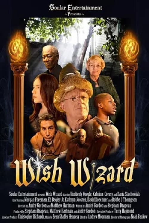 Wish Wizard (2014)