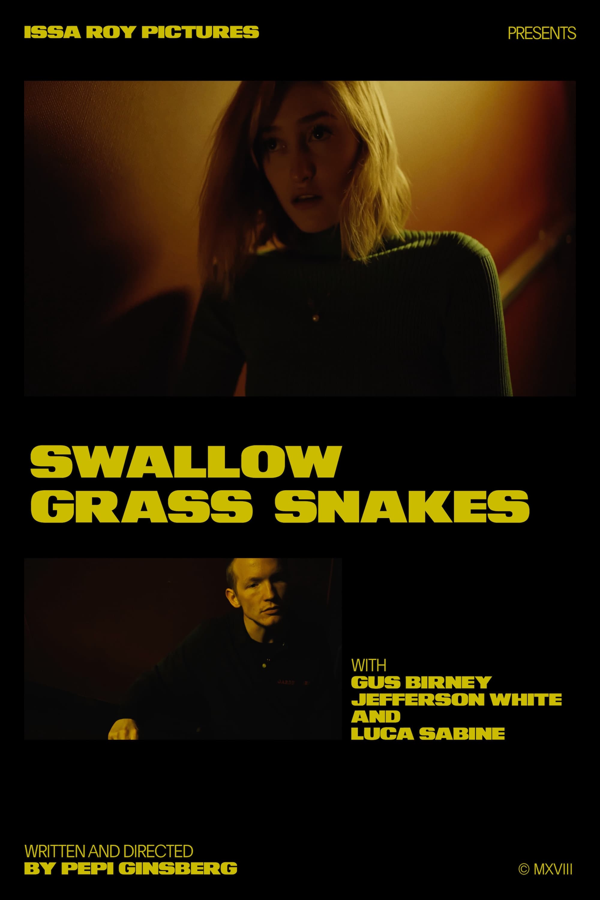 Swallow Grass Snakes