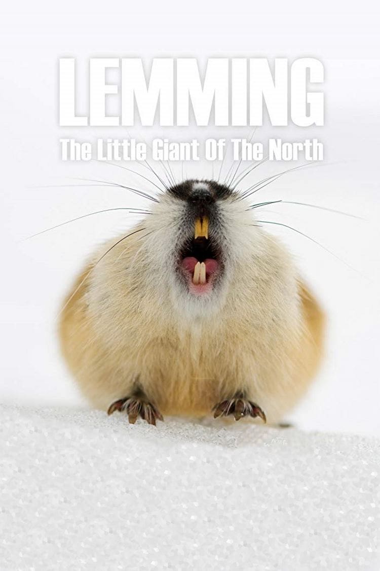 Lemming: The Little Giant of the North
