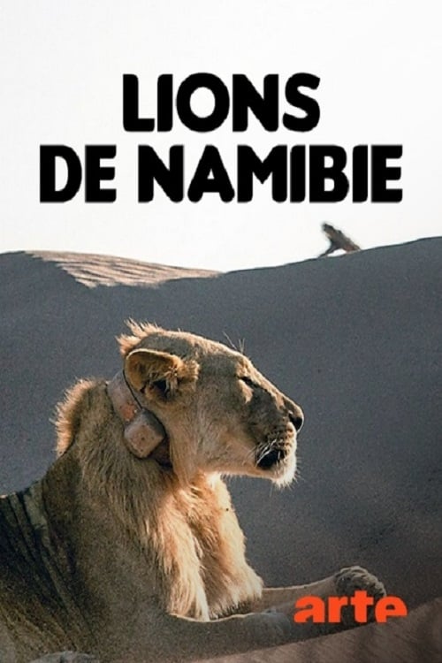 Lions of Namibia: The Kings of the Desert
