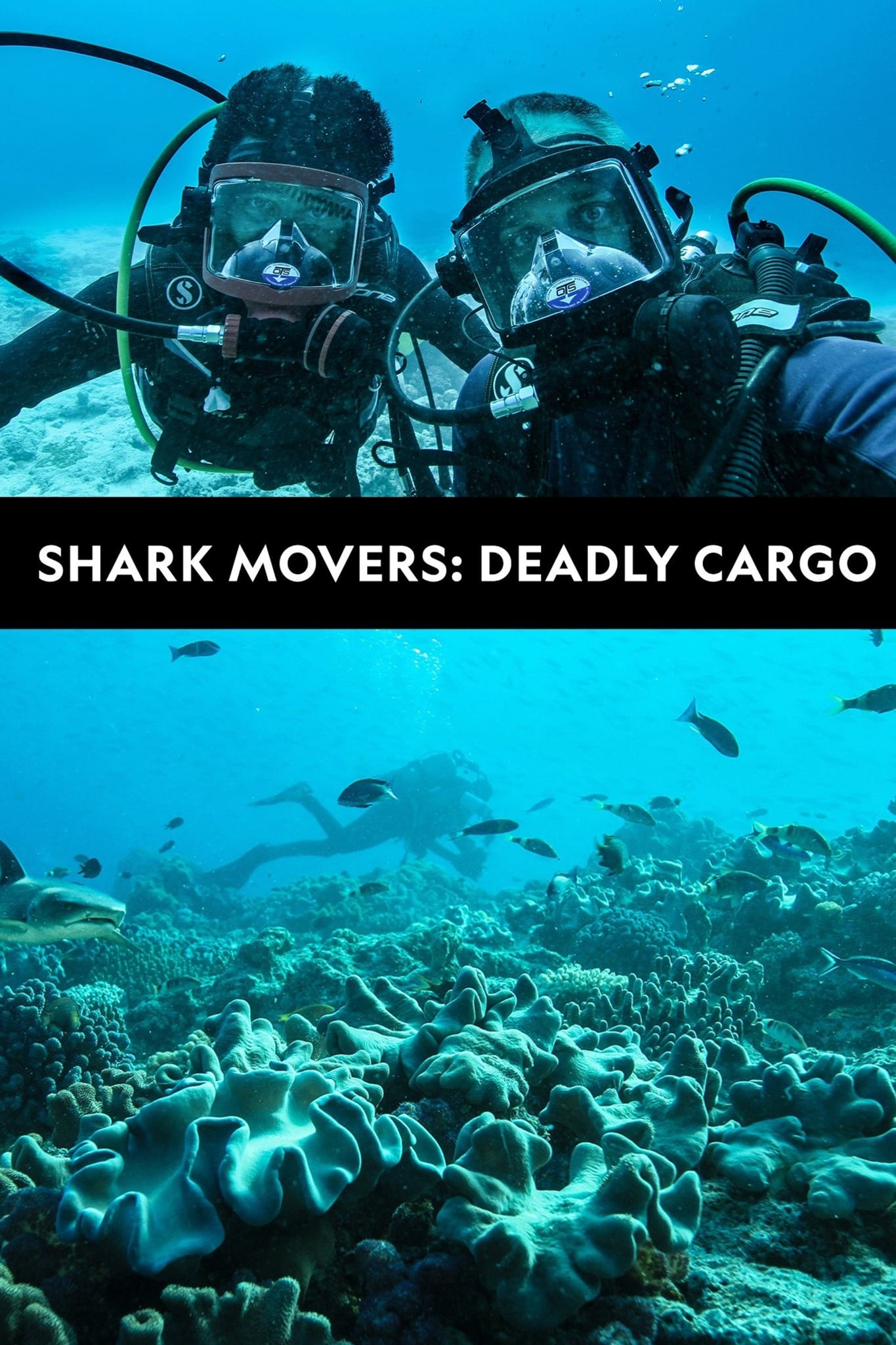 Shark Movers: Deadly Cargo