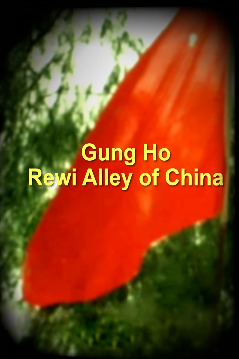 Gung Ho - Rewi Alley of China