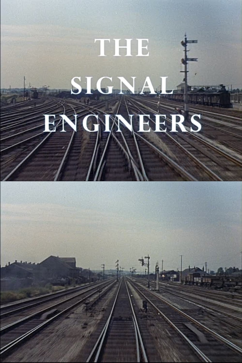 The Signal Engineers