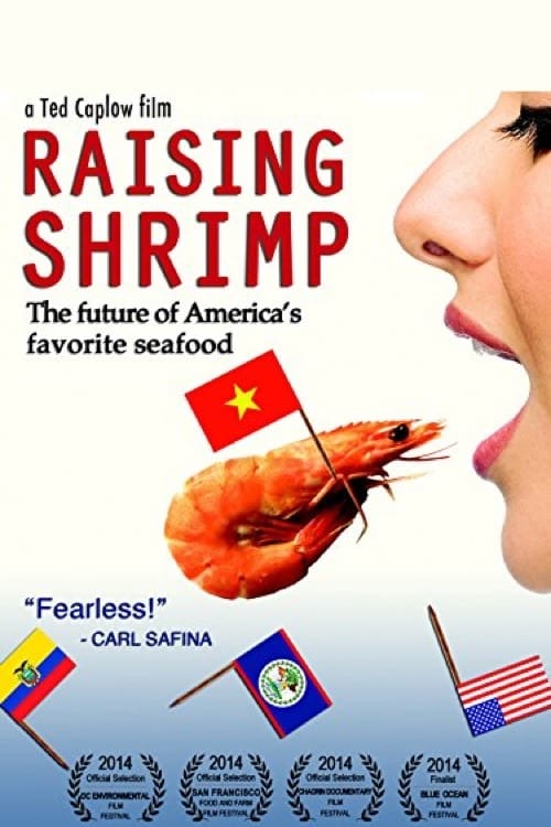 Raising Shrimp