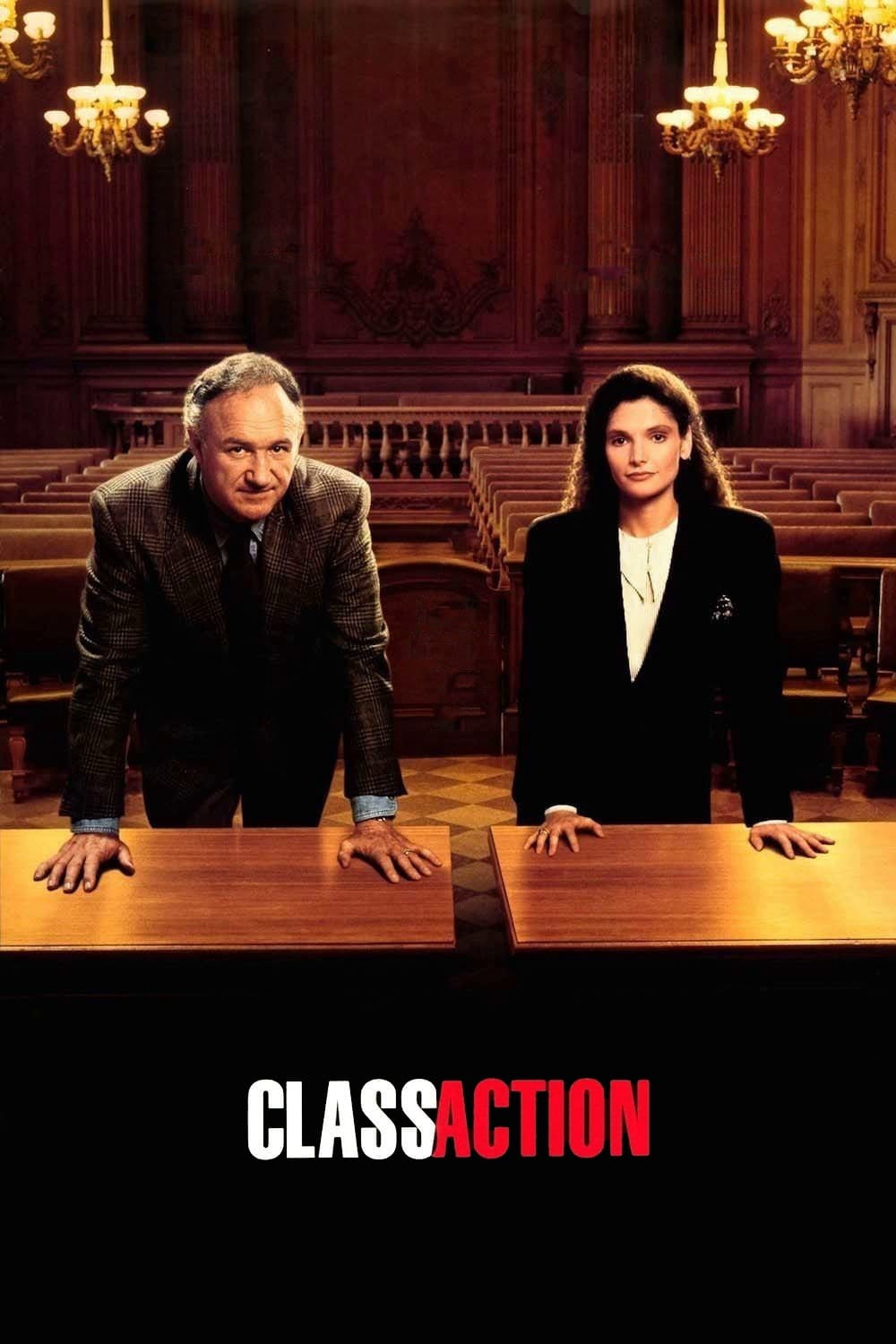 Acción judicial (1991)