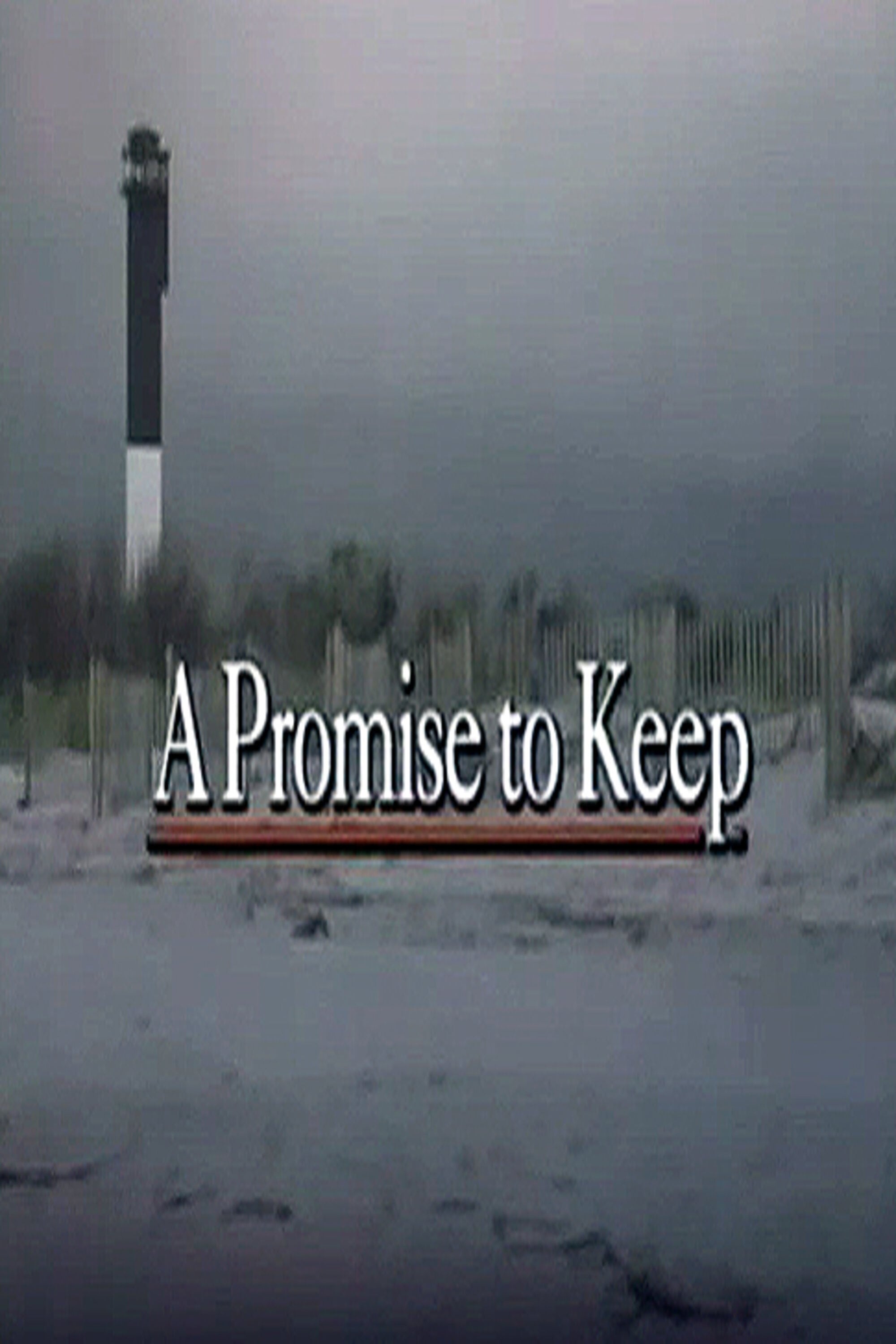 Promises to Keep (1988)