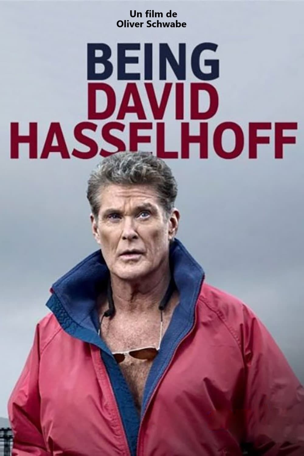 Being David Hasselhoff