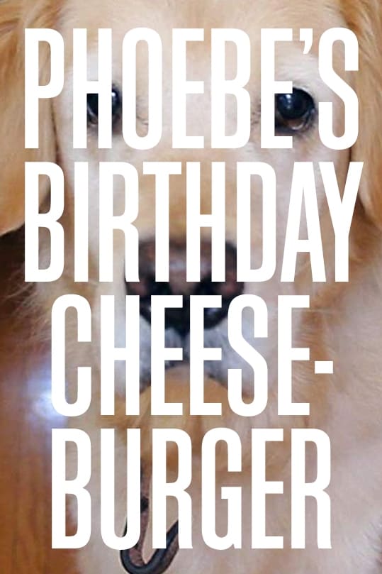 Phoebe's Birthday Cheeseburger