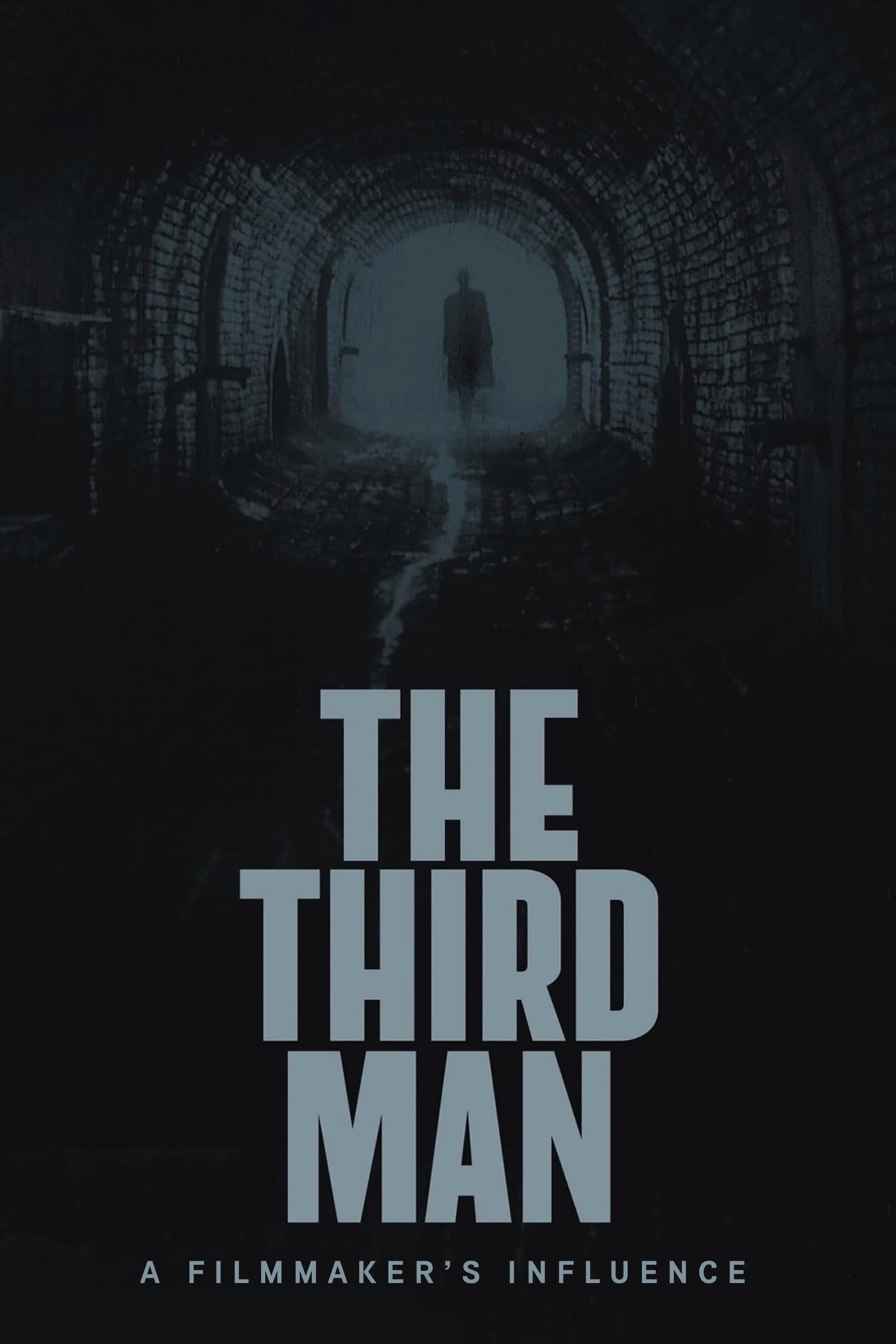 The Third Man: A Filmmaker's Influence (2015)