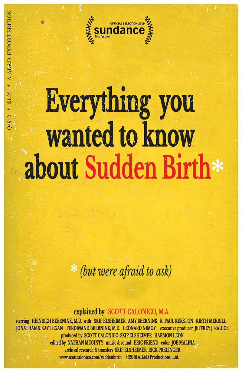 Everything You Wanted to Know About Sudden Birth (but were afraid to ask) (2019)