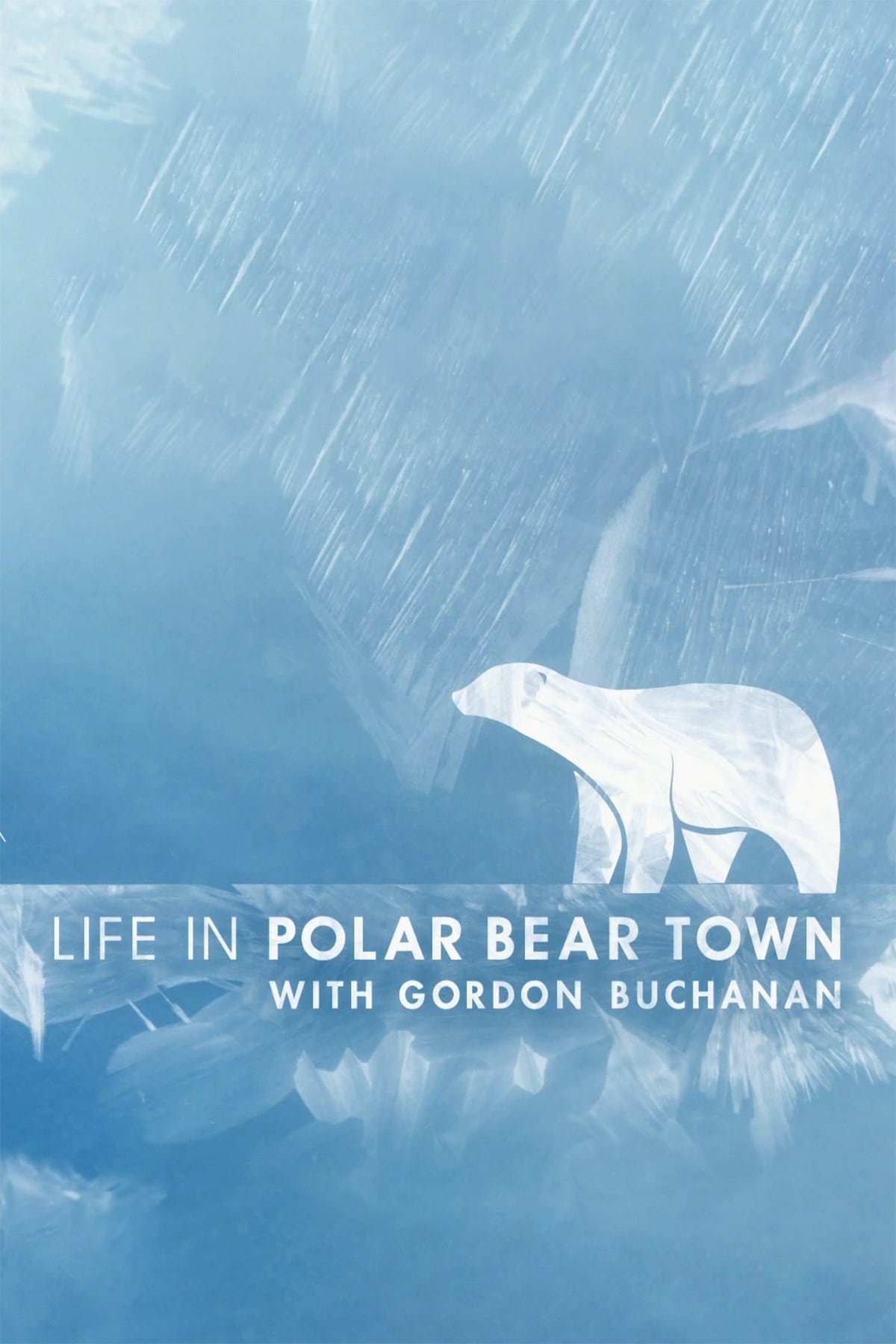 Life in Polar Bear Town with Gordon Buchanan