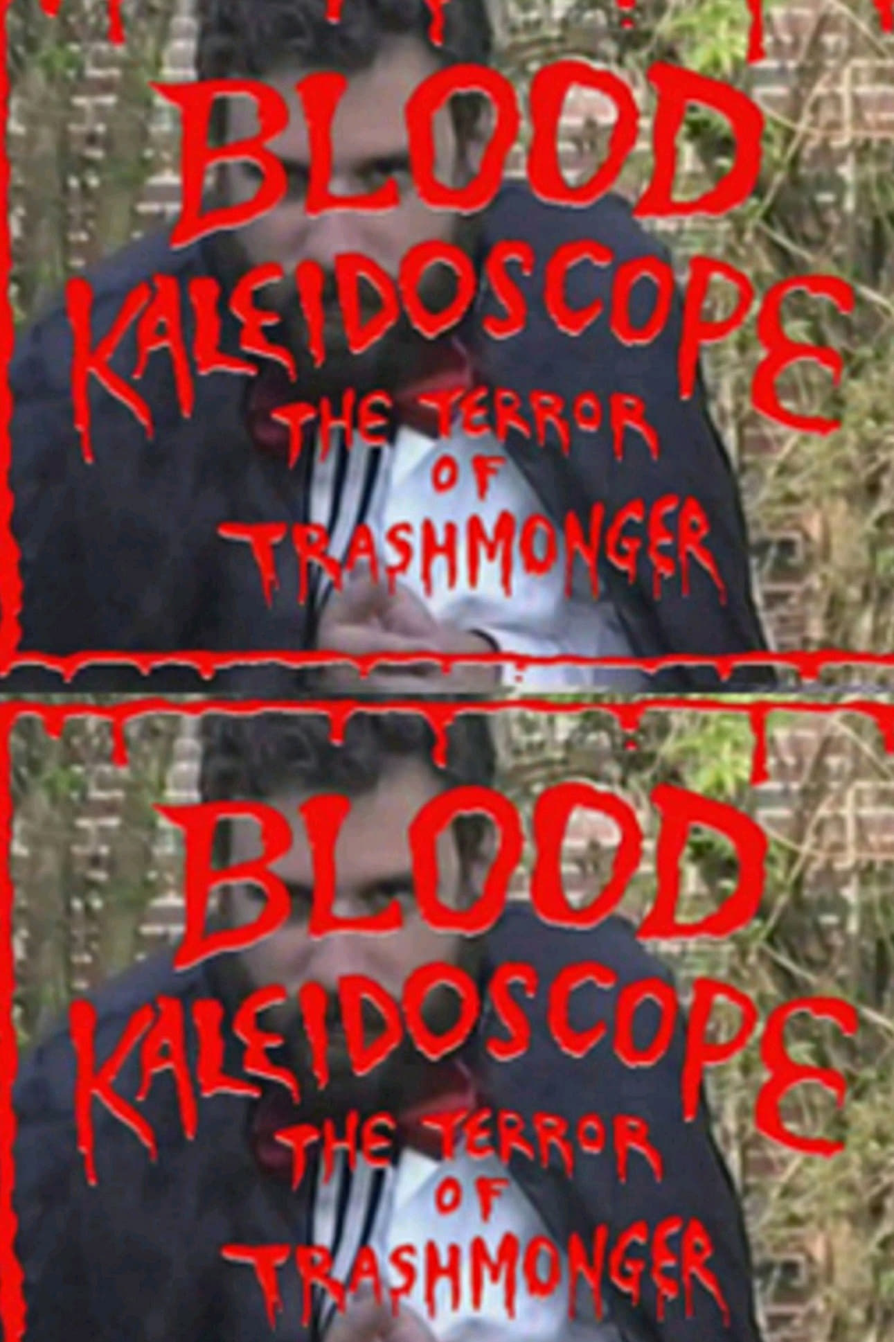 Blood Kaleidoscope: The Terror of Trashmonger Video