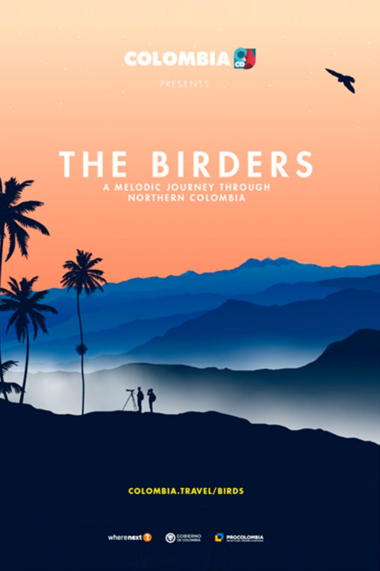 The Birders