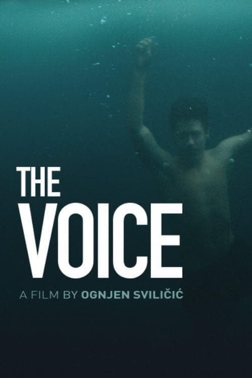The Voice (2020)