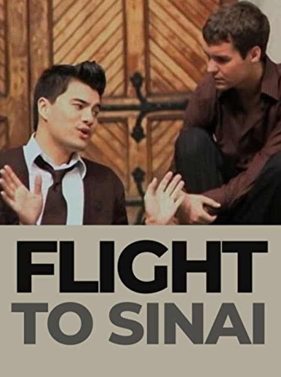 Flight to Sinai