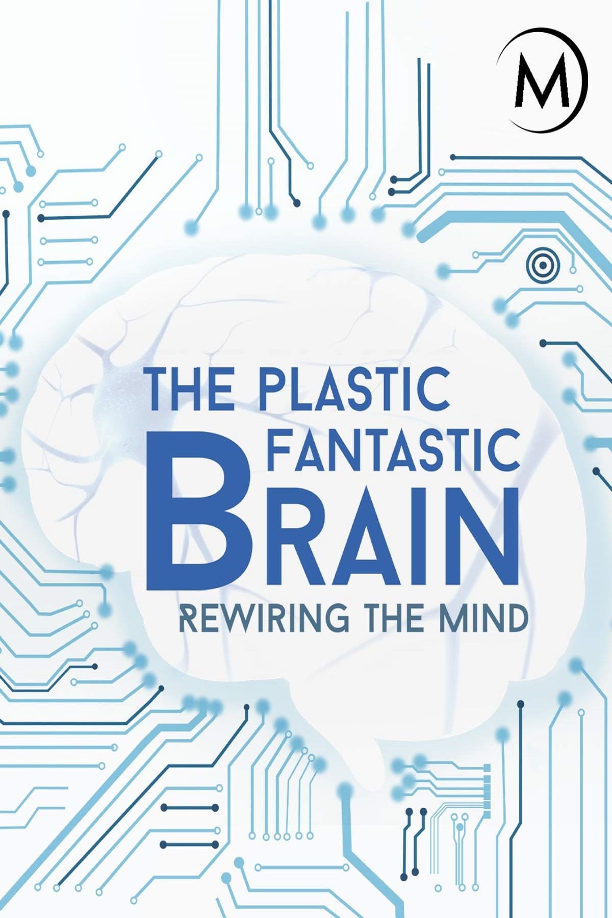 Plastic Fantastic Brain