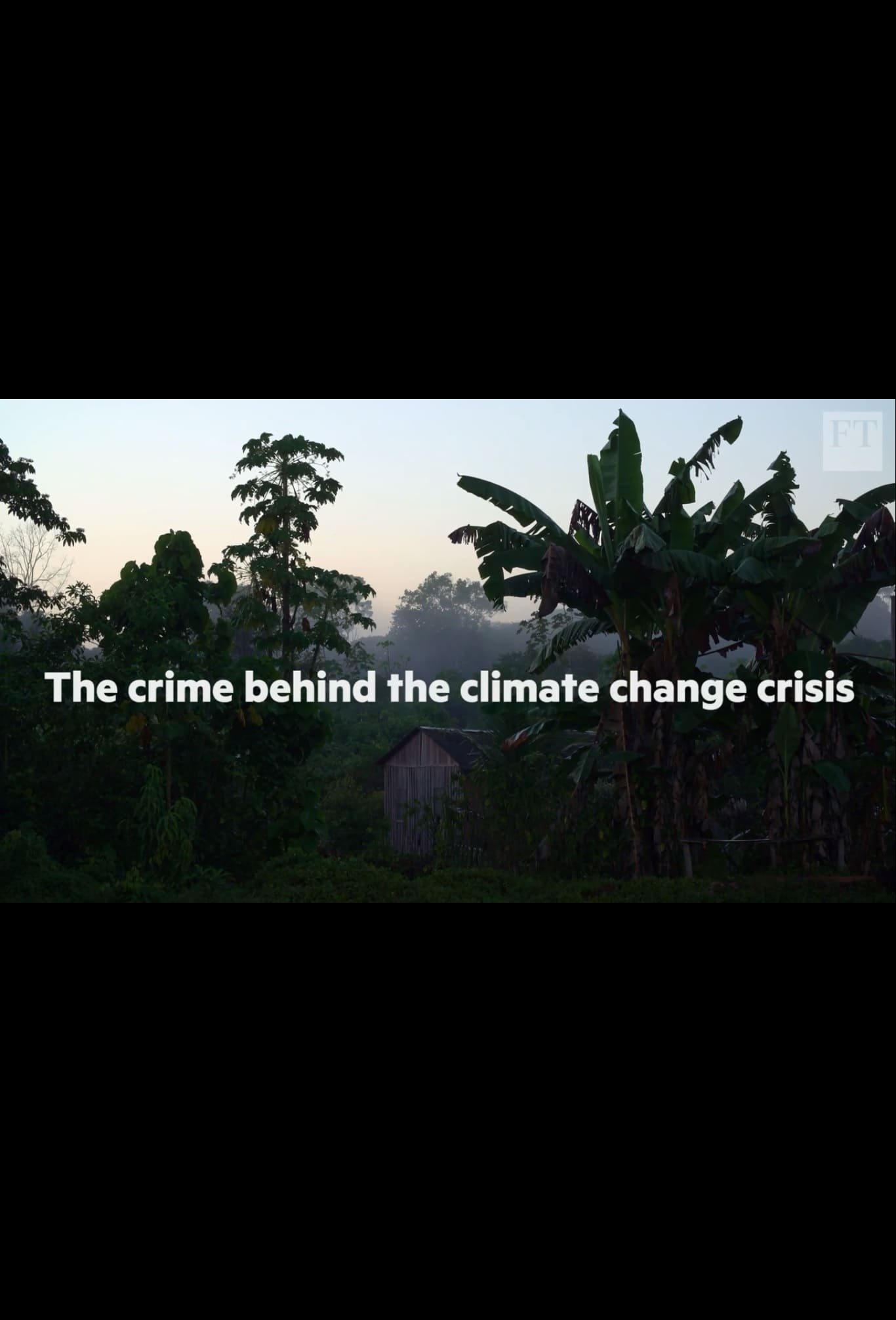 The crime behind the Amazon climate change crisis