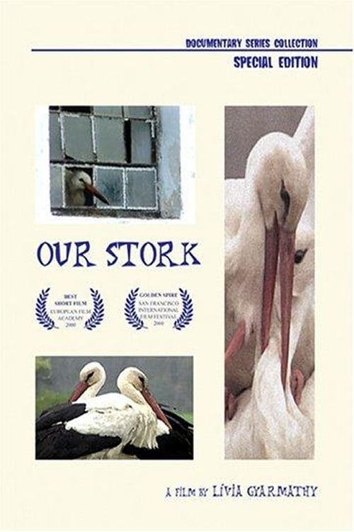 Our Stork