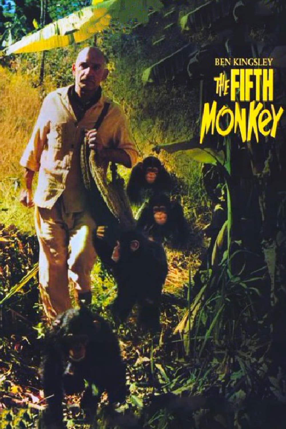 The Fifth Monkey (1990)