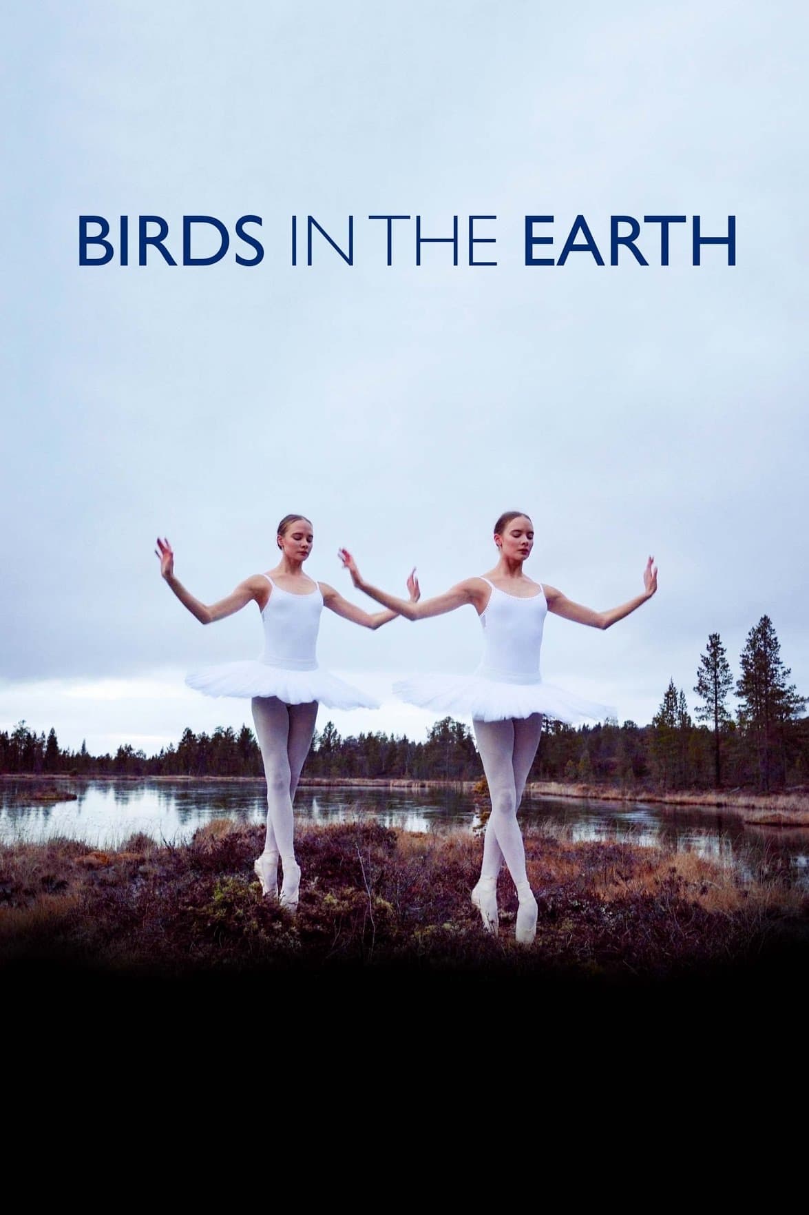 Birds in the Earth