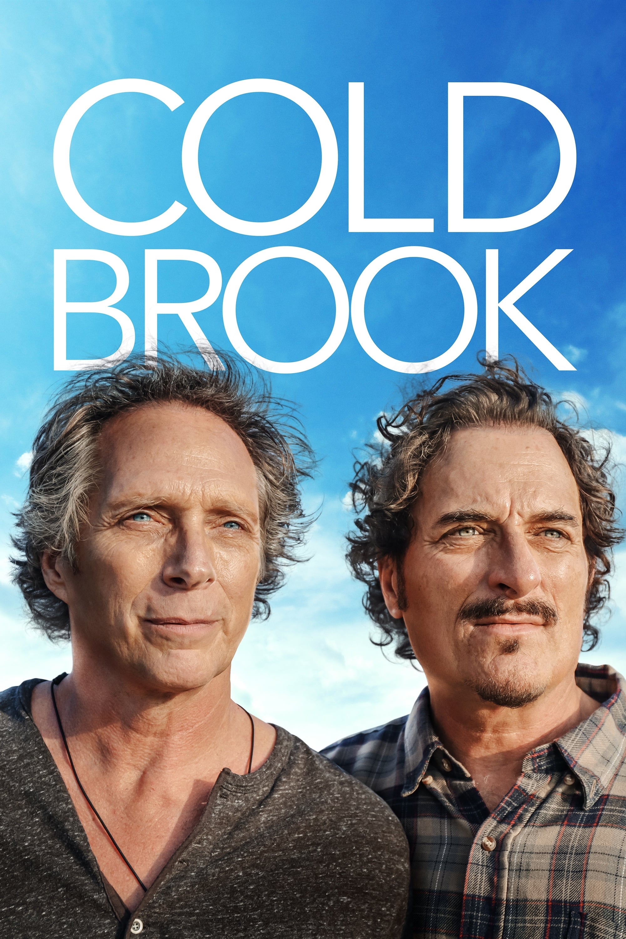 Cold Brook (2019)