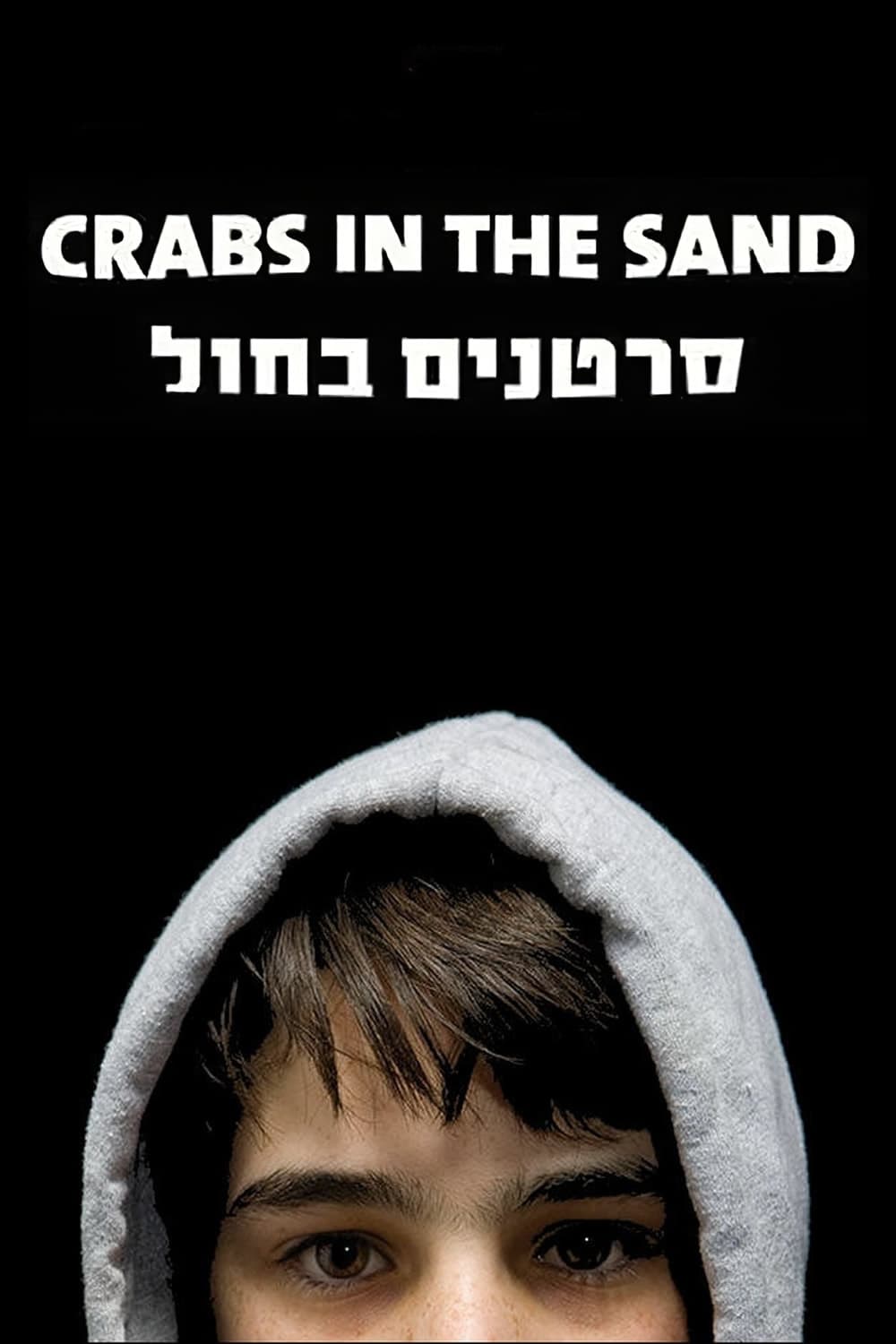 Crabs in the Sand