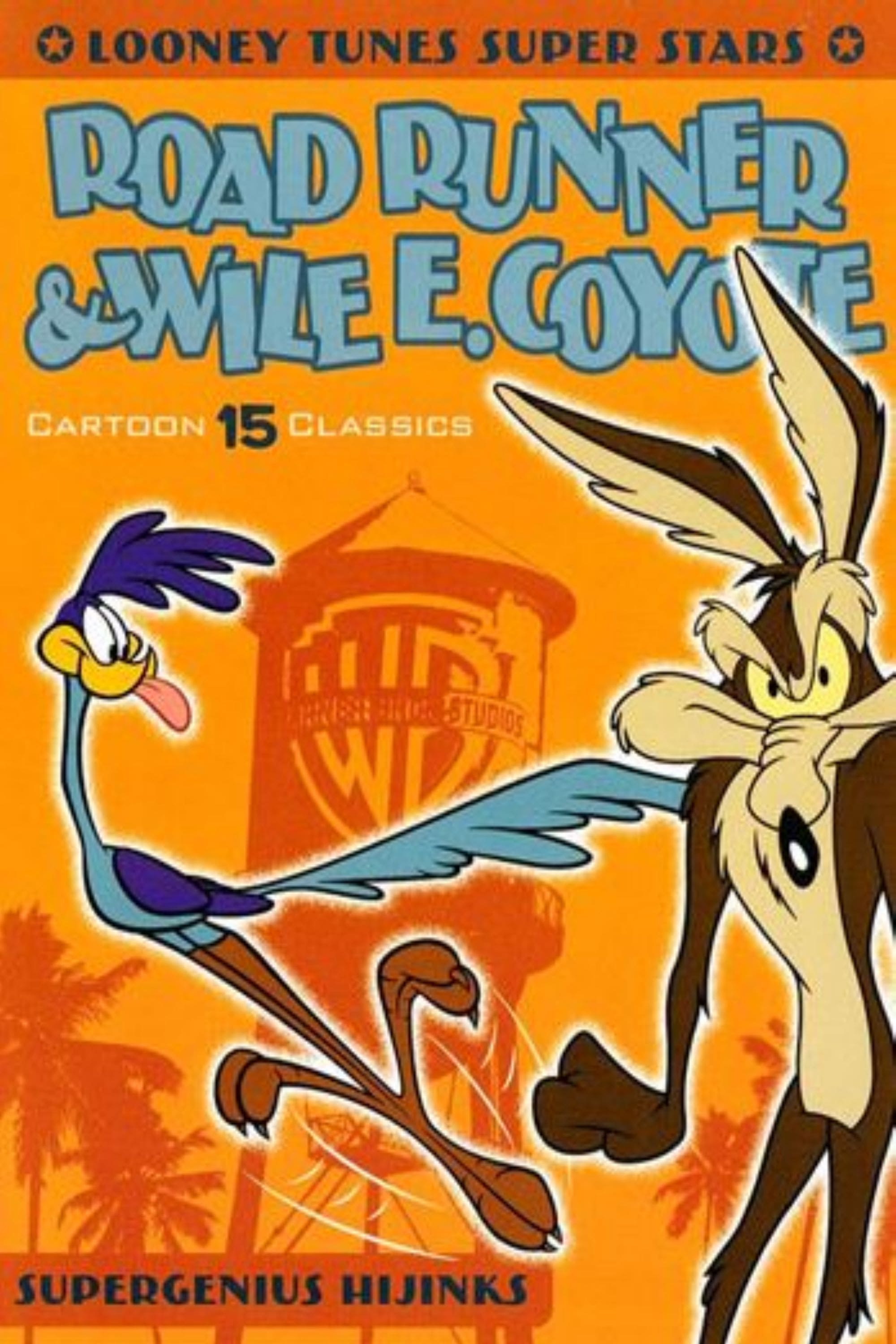 Looney Tunes Super Stars Road Runner & Wile E. Coyote: Supergenius ...