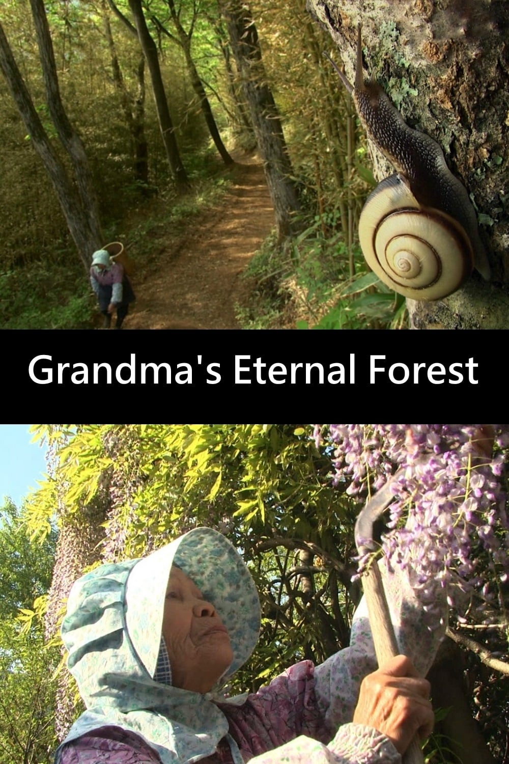 Grandma's Eternal Forest
